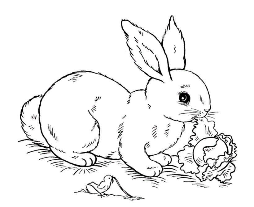 Dressed up Easter Bunny coloring page
