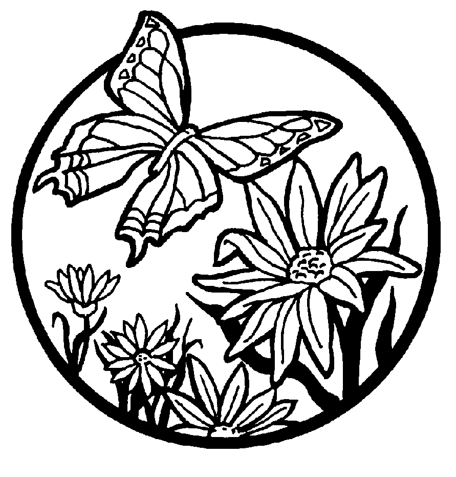 butterflies to color Colouring Pages