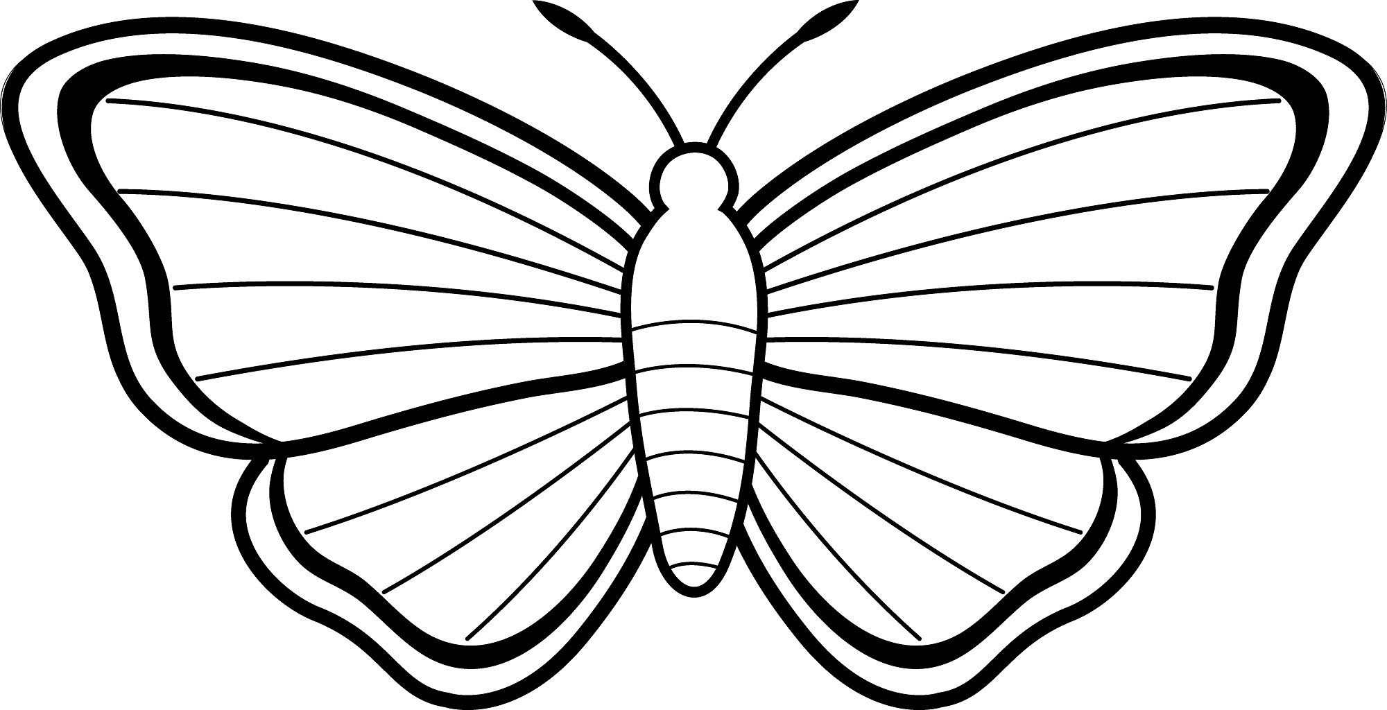 butterfly-outline-colouring-pages