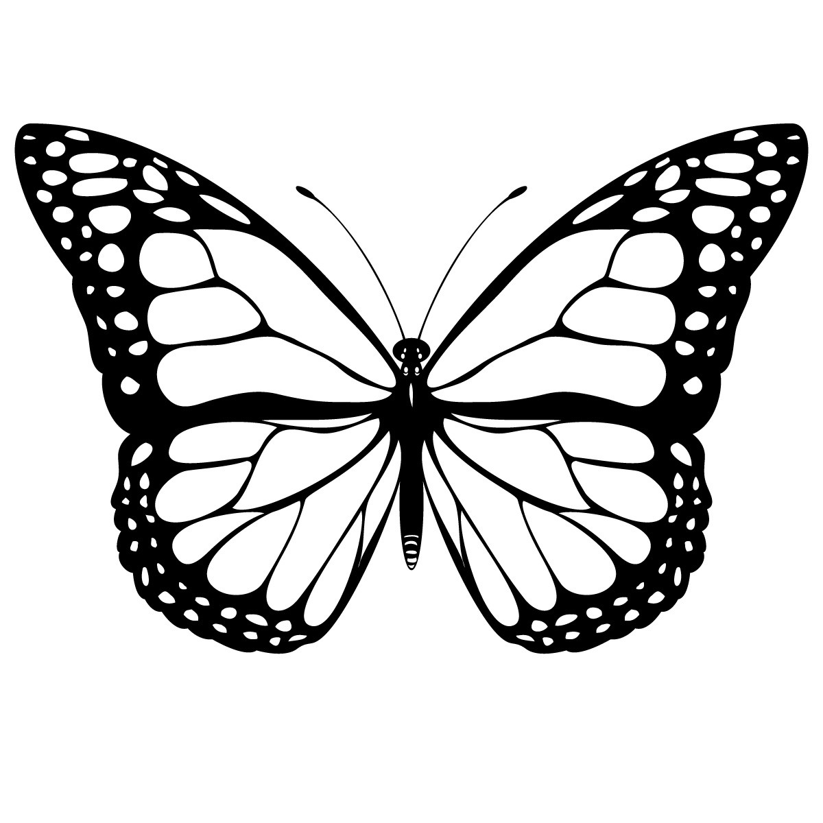 Coloring Pages Free Printable Butterfly