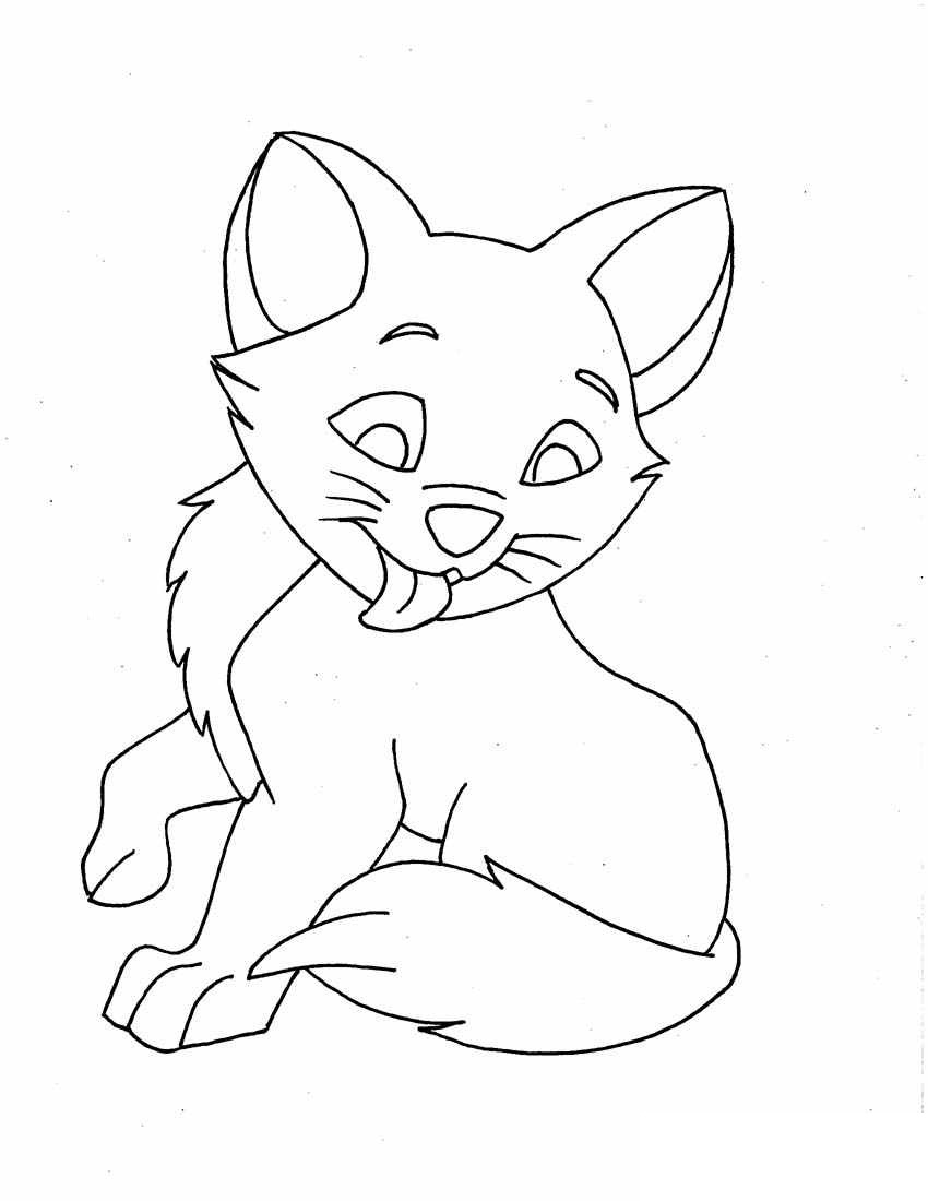 Cat Printable Coloring Pages Printable Blank World