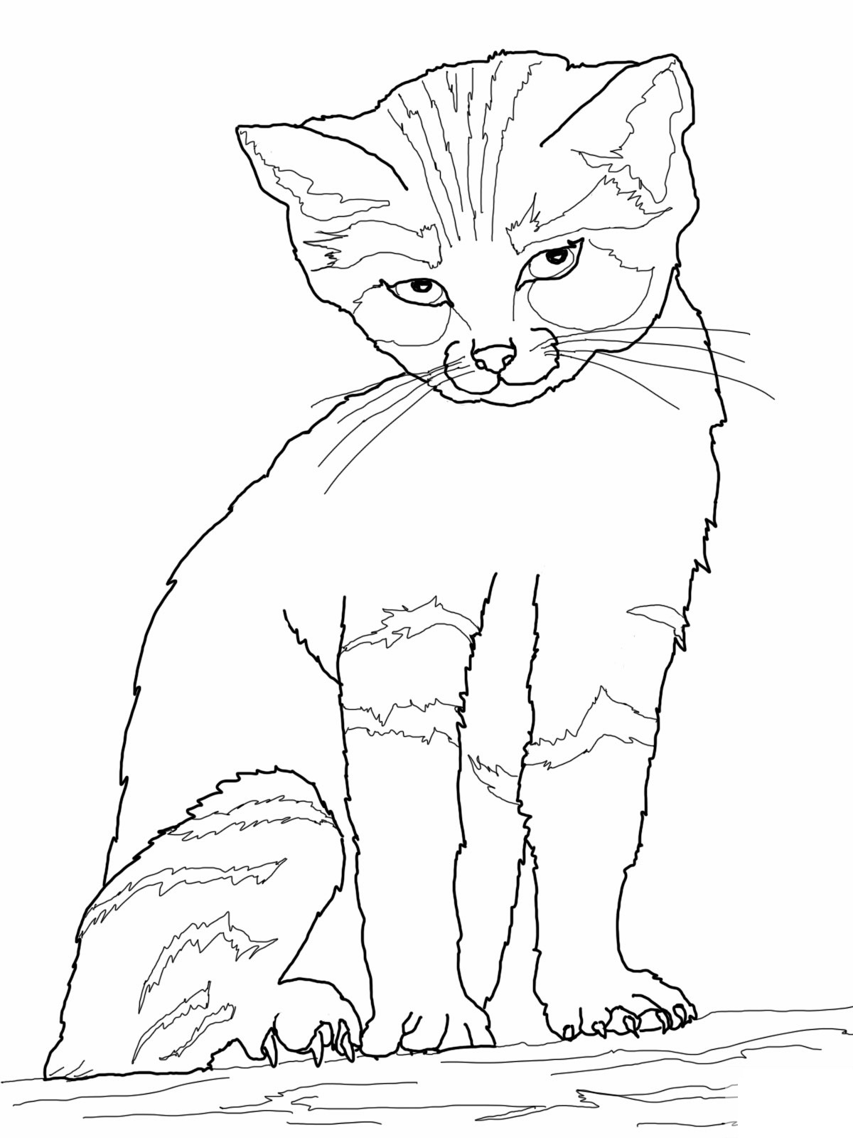 501 Cartoon Free Printable Cat Coloring Pages with Animal character