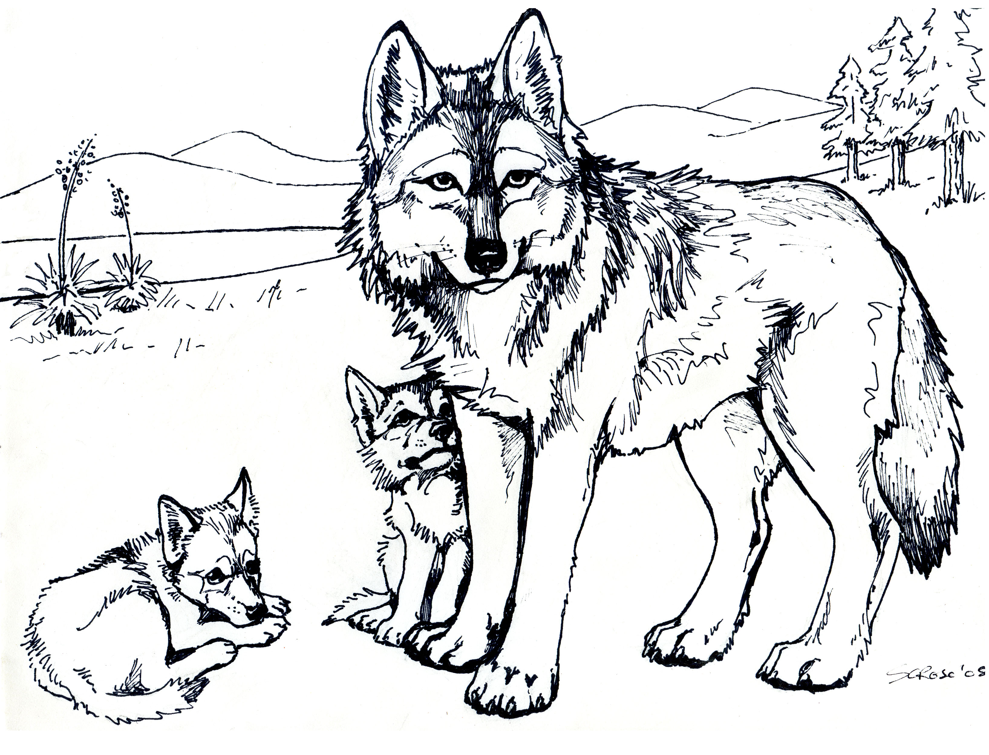 The Burgess Animal Book for Children Coloring Page Collection