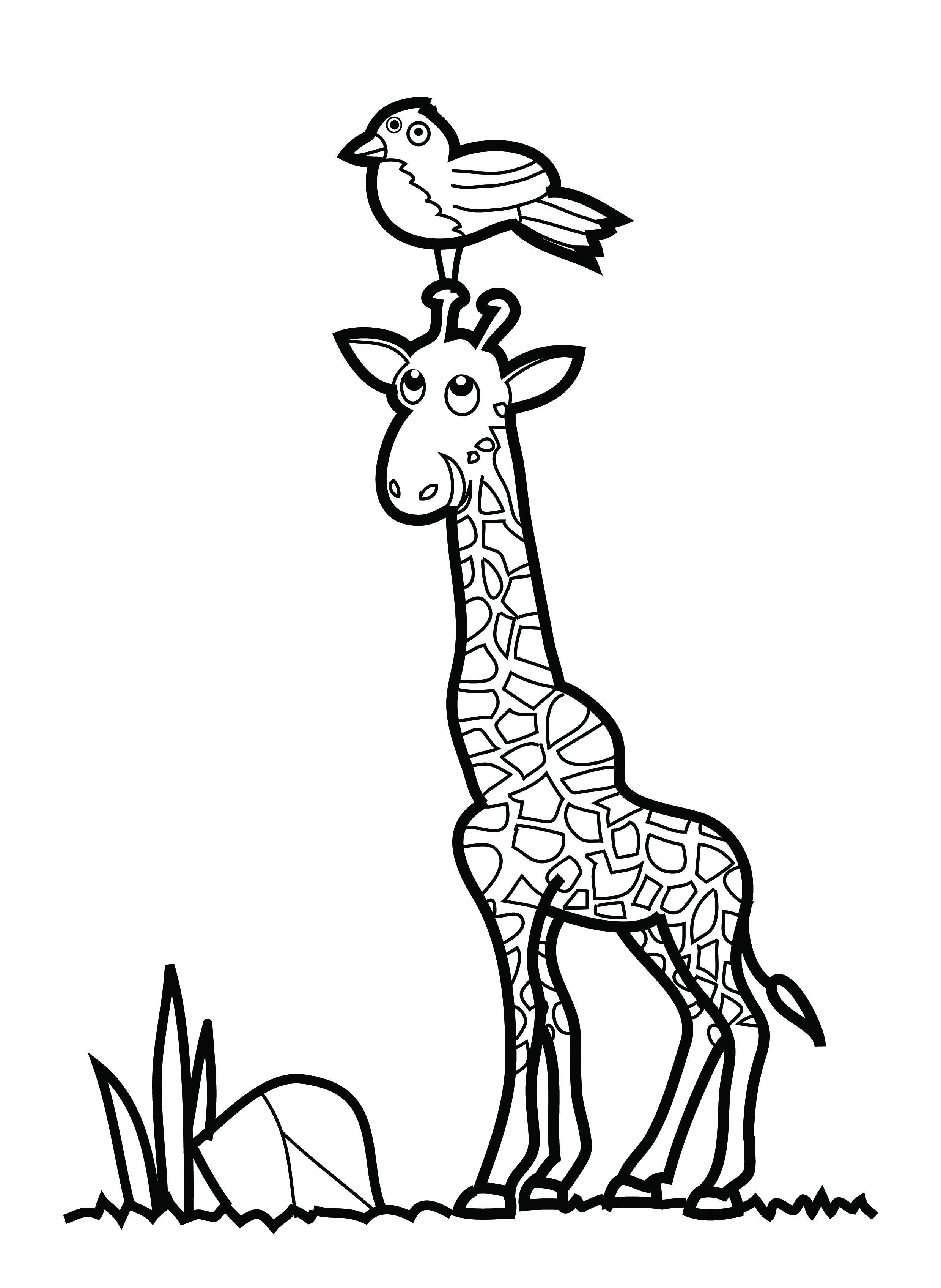 Free Printable Giraffe Coloring Pages Printable World Holiday