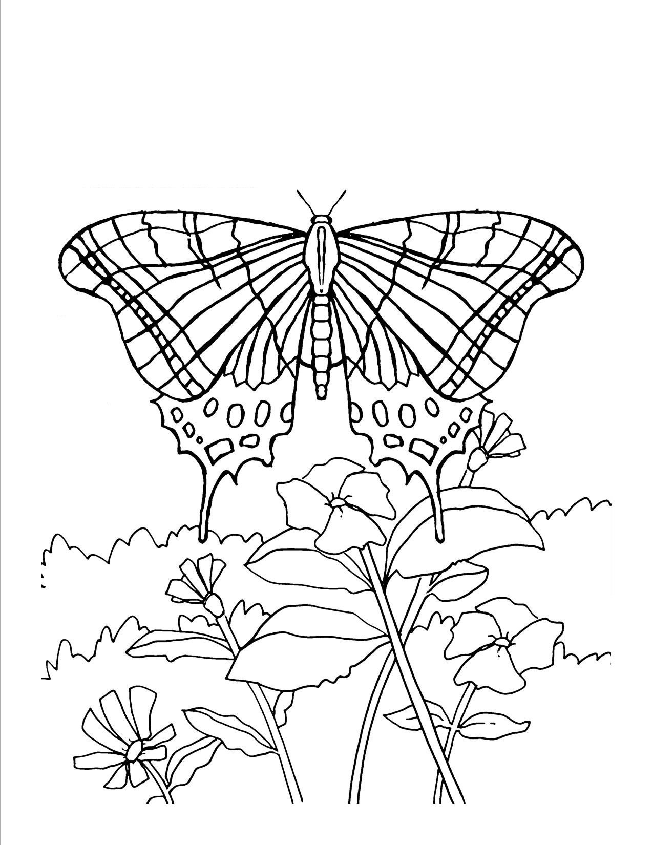 rose and butterfly coloring pages