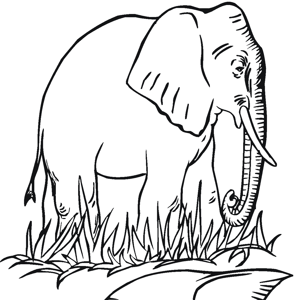 Free Printable Elephant Coloring Pages For Kids