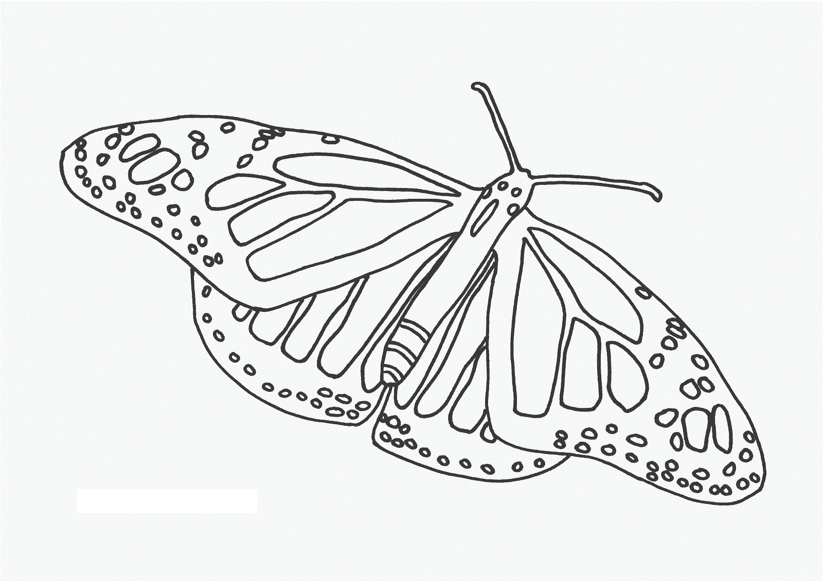 Free Printable Butterfly Coloring Pages Kids Mosaic
