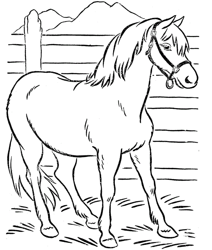 free-printable-horse-coloring-pages-for-kids