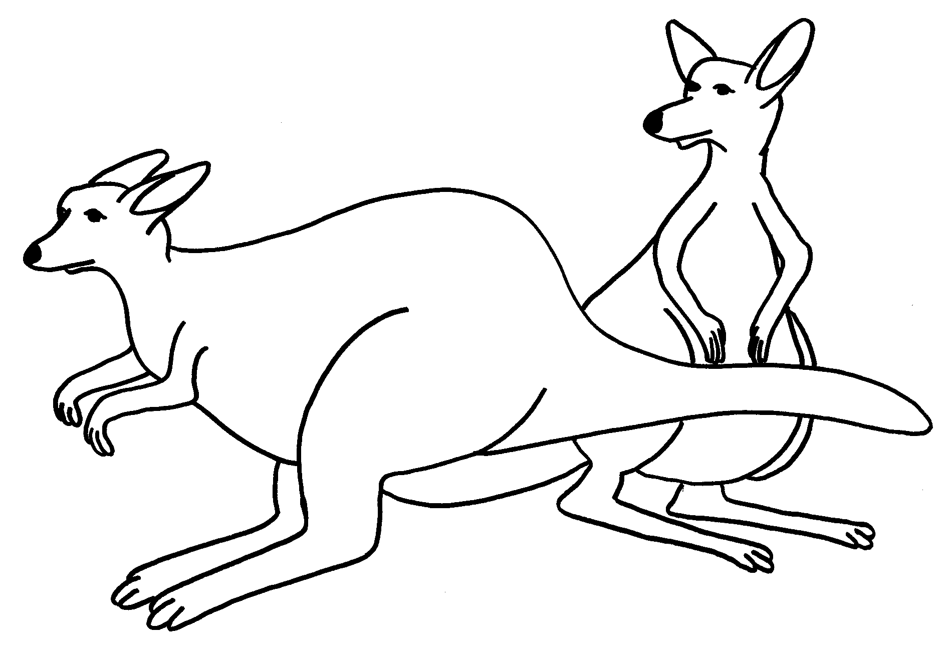 kangroo coloring pages - photo #6