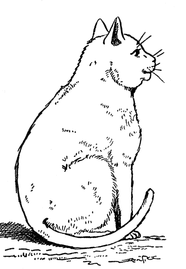 Free Printable Cat Coloring Pages For Kids