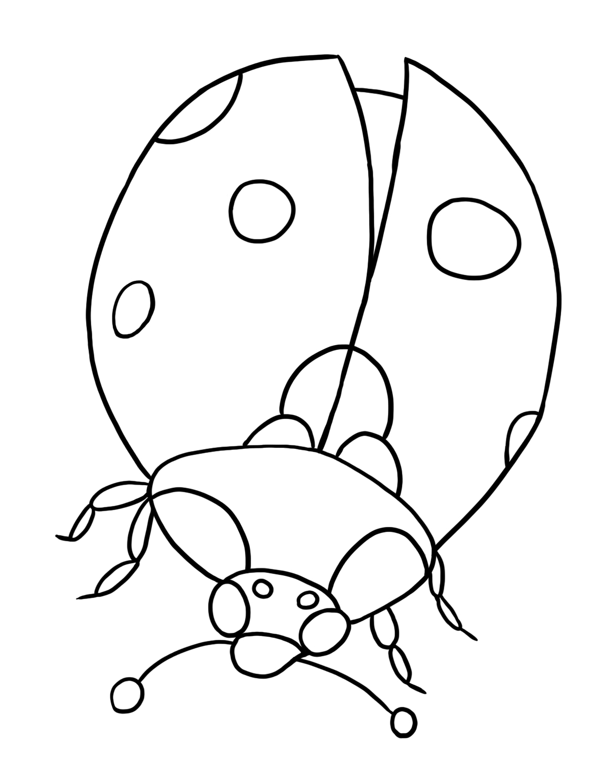  Bug Insect Coloring Pages for Adult