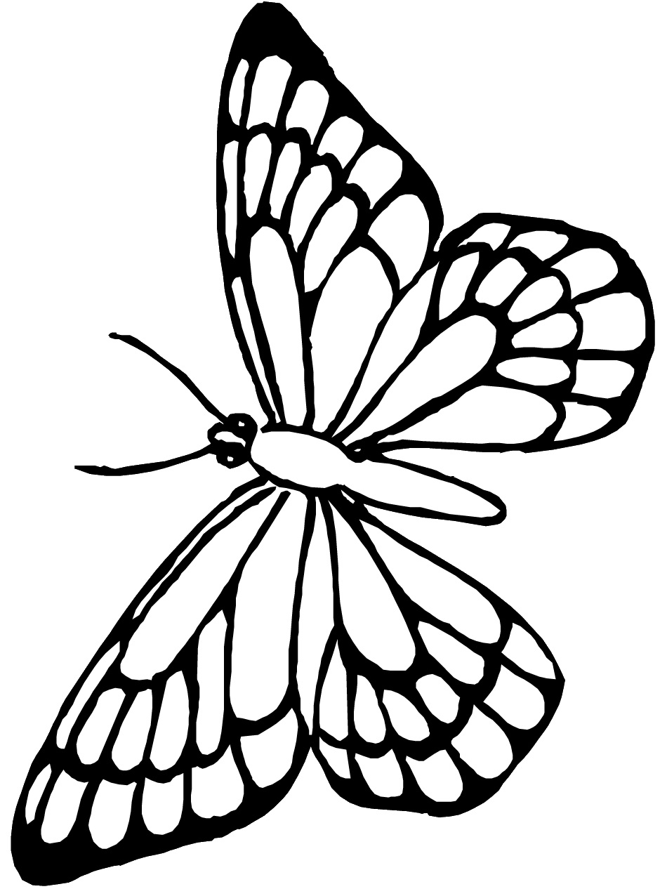 Free simple butterflies coloring pages