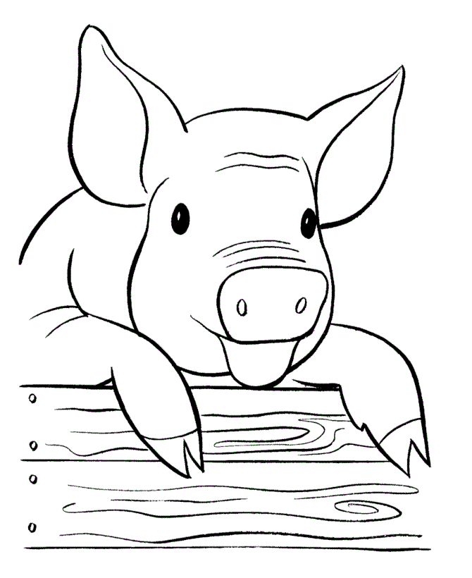 Free Printable Pig Coloring Pages For Kids