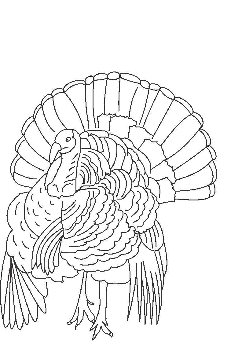 Thanksgiving Turkey (prints smaller than full page, but