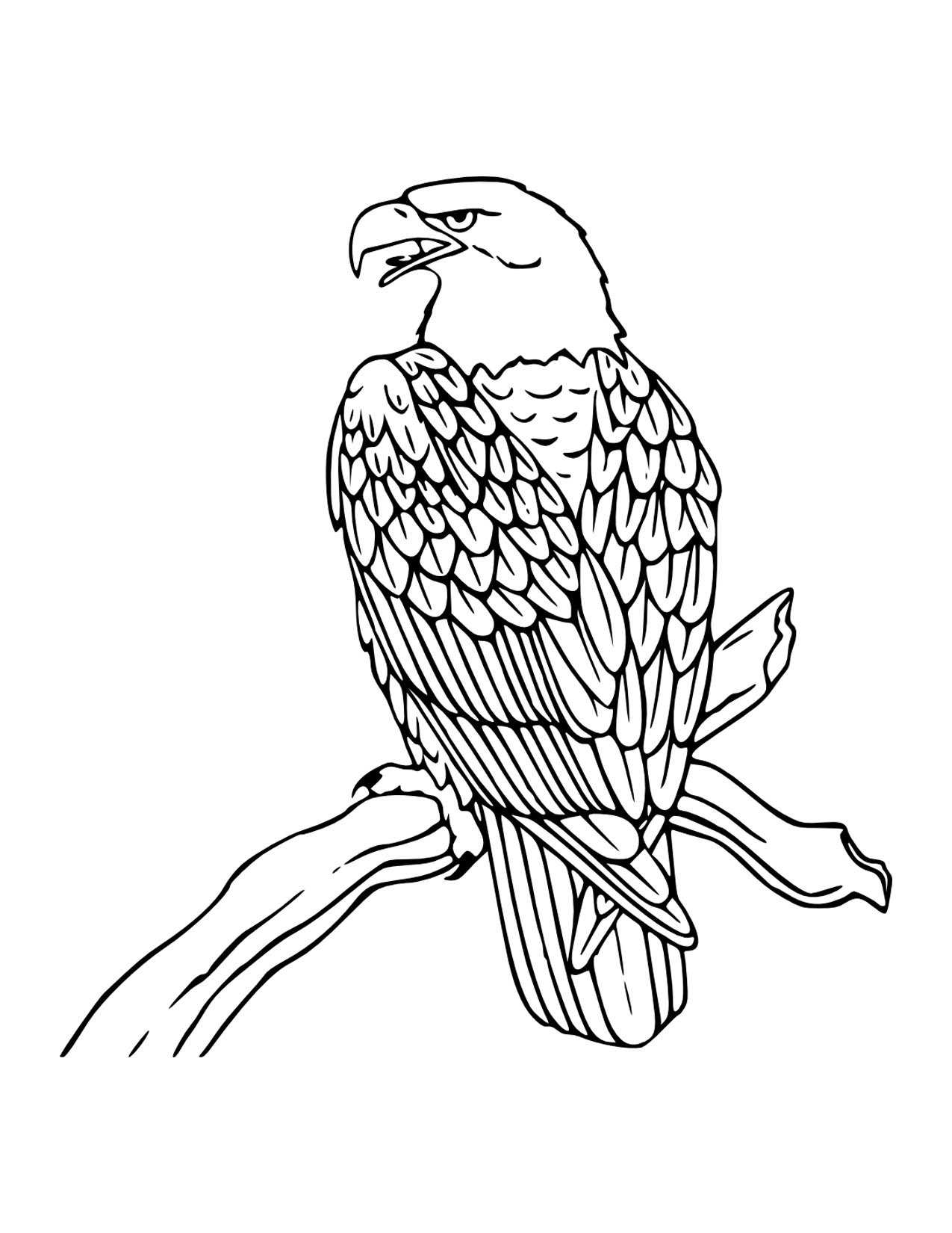 Free Printable Bald Eagle Coloring Pages For Kids