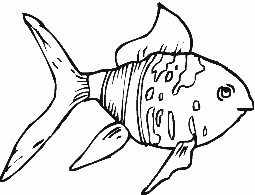 free-printable-goldfish-coloring-pages-for-kids