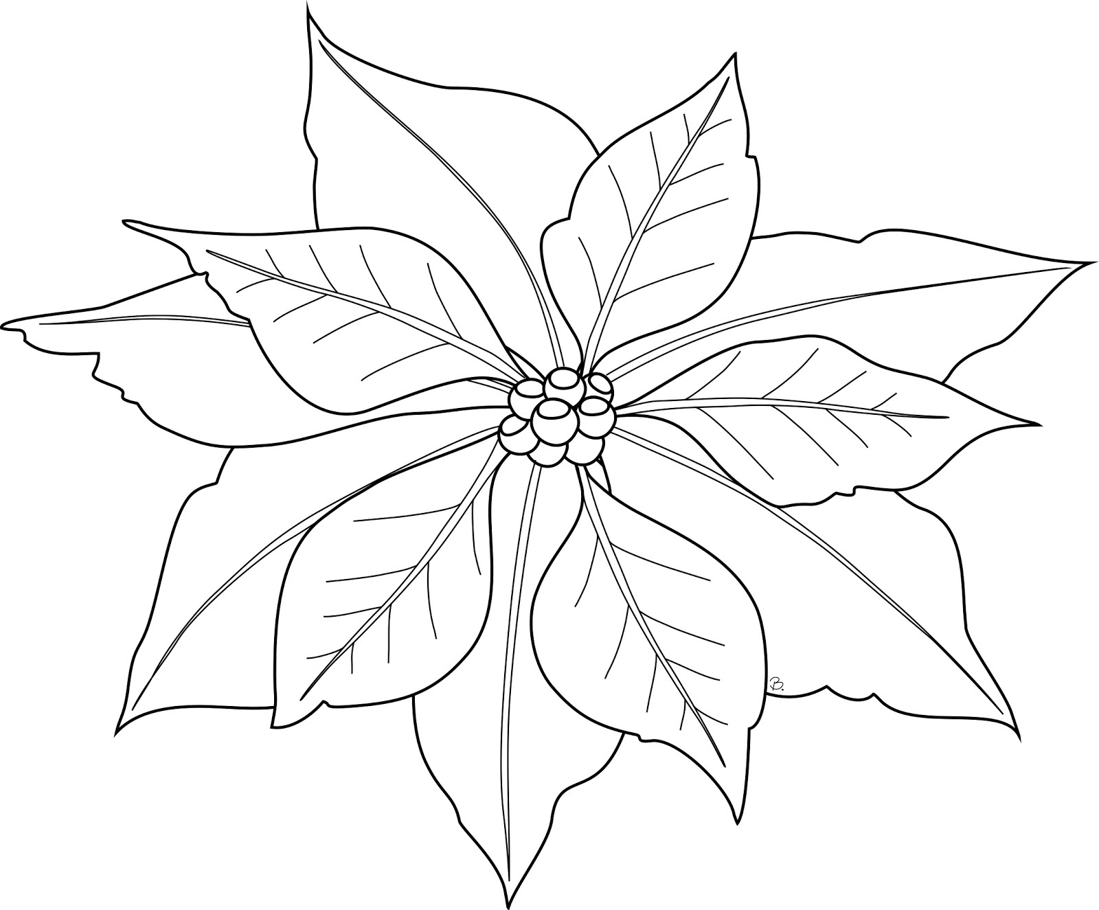 Poinsettia Template Printable Free Printable Word Searches