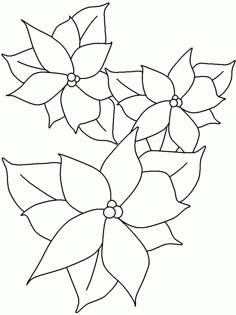 free-printable-poinsettia-coloring-pages-for-kids