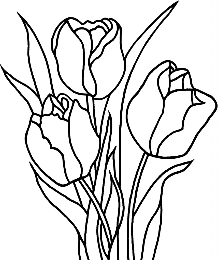 Gambar Tulip Flower Coloring Pages Getcoloringpages Printable Kids