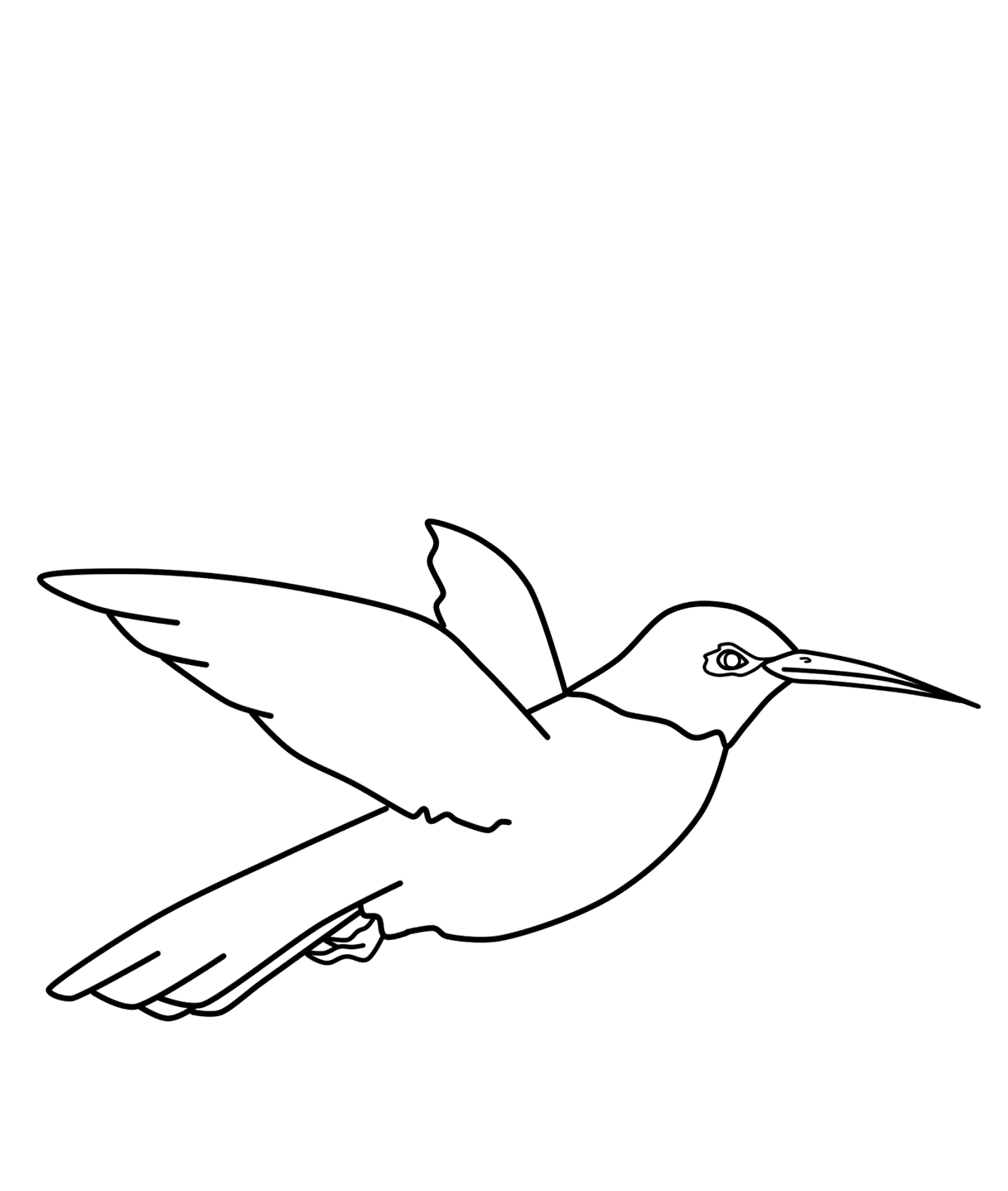 Free Printable Hummingbird Coloring Pages For Kids