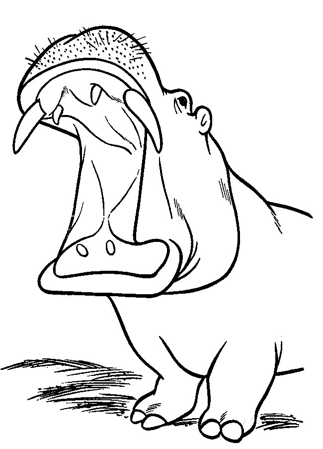 Free Printable Hippo Coloring Pages For Kids