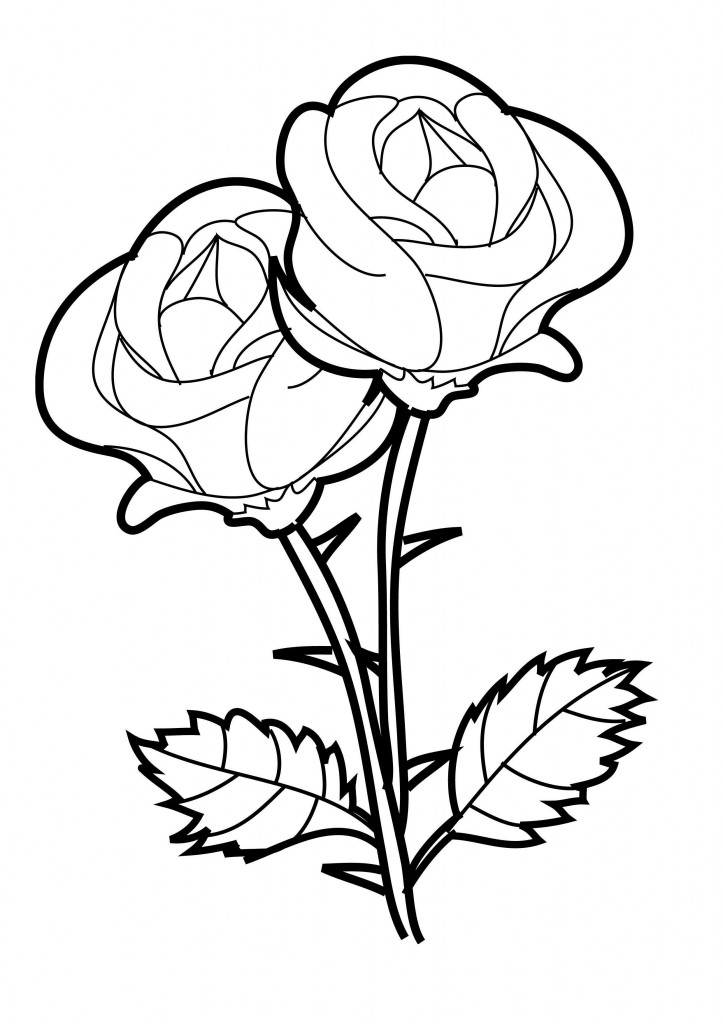 coloring rose roses printable
