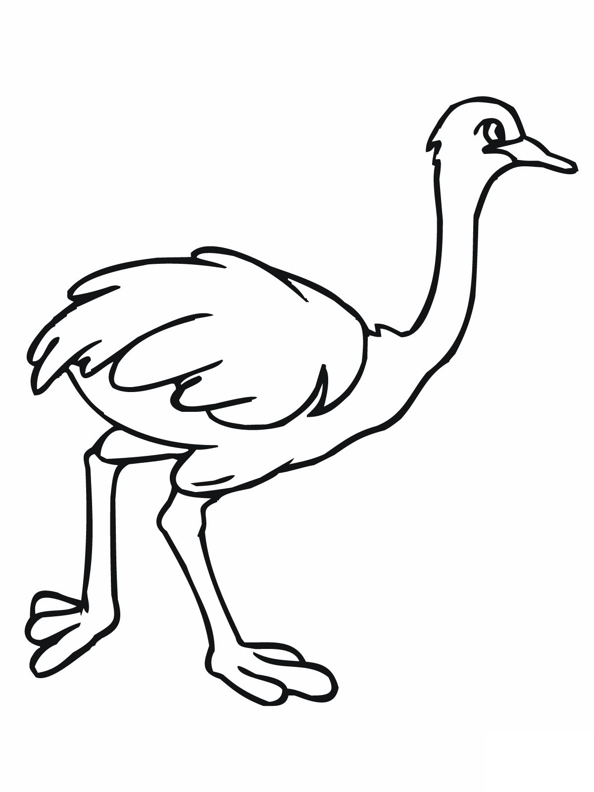 Ostrich Coloring Pages Kidsuki