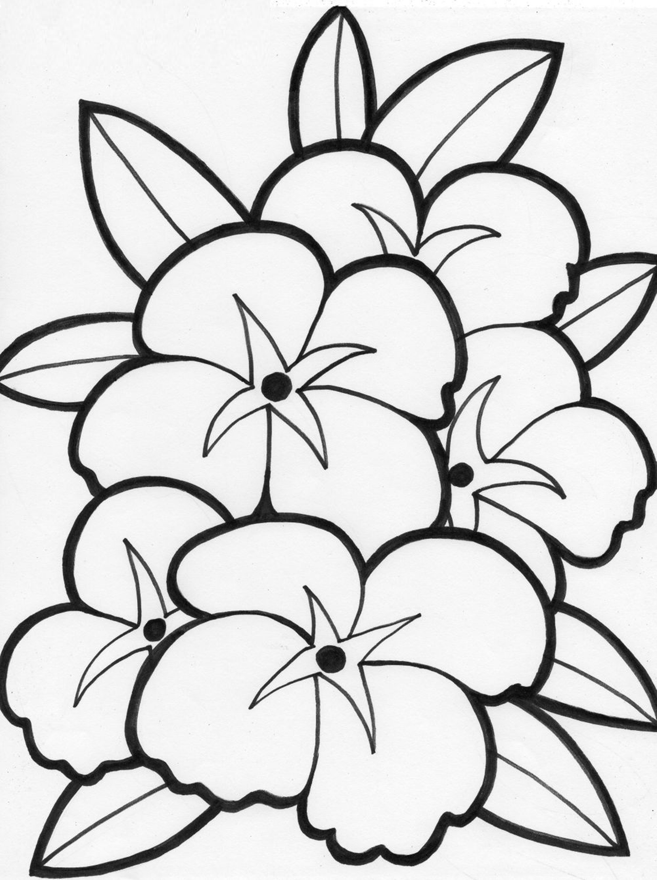 Free Printable Flower Coloring Pages For Kids Best Coloring Pages For Kids