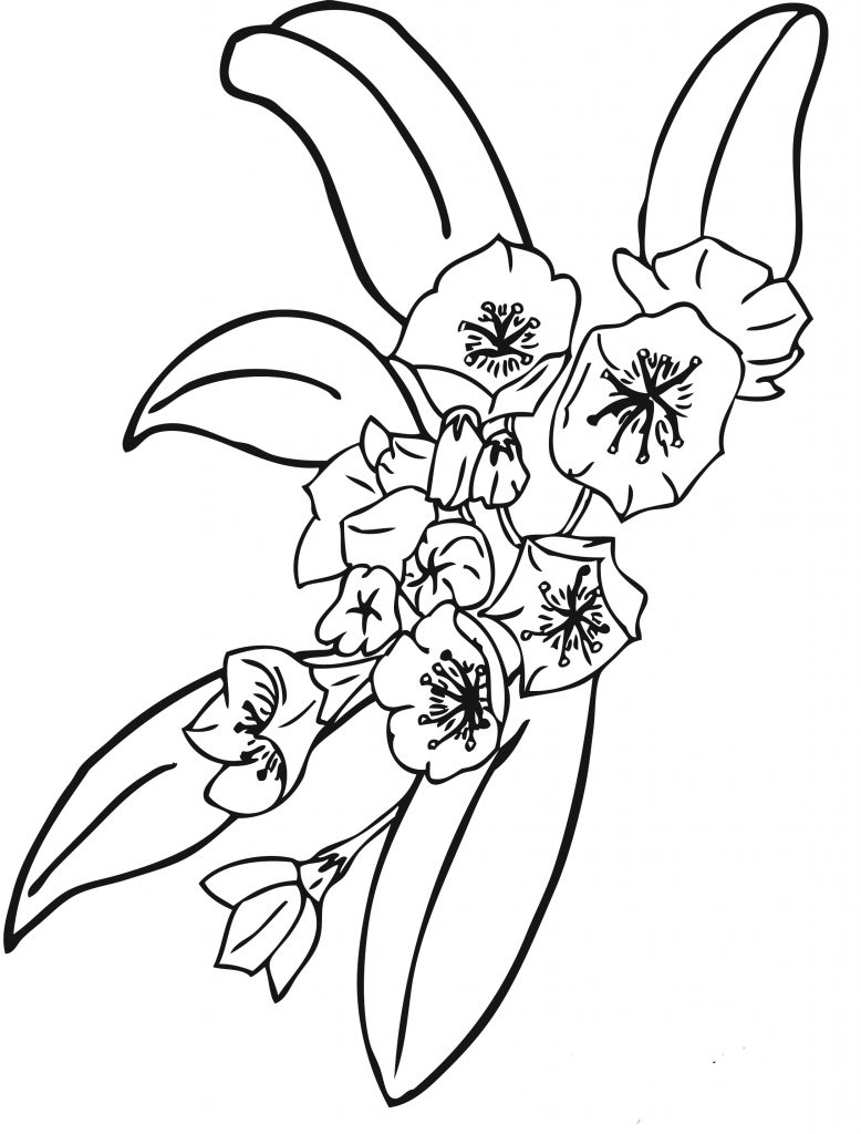 Free Printable Flower Coloring Pages For Kids - Best Coloring Pages For