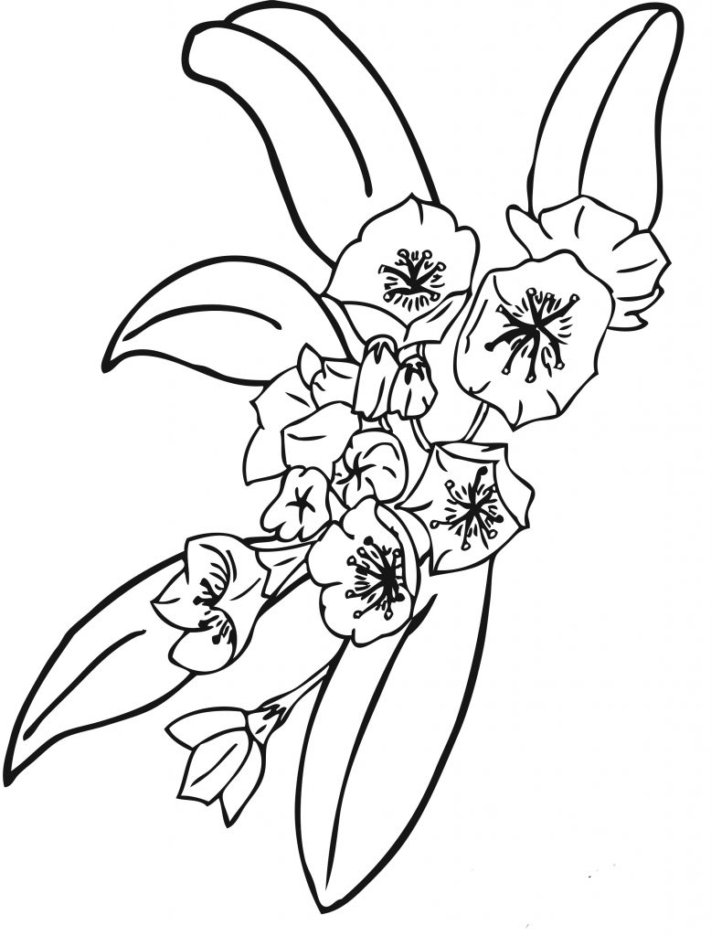 Free Printable Flower Coloring Pages For Kids Best Coloring Pages For Kids