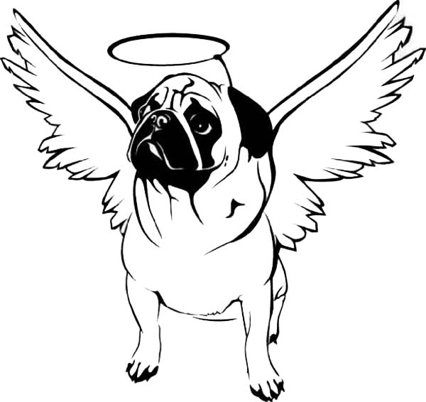 Pug Coloring Pages Best Coloring Pages For Kids