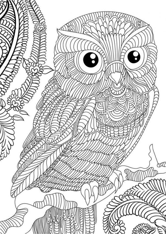 OWL Coloring Pages For Adults Free Detailed Owl Coloring Pages