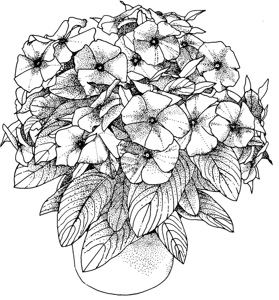 Flower Coloring Pages For Adults Best Coloring Pages For Kids