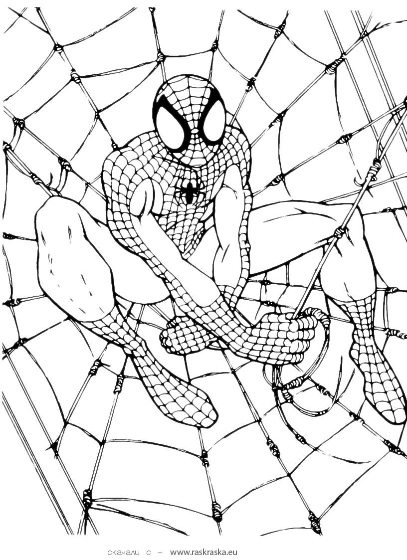 Free Printable Spiderman Coloring Pages