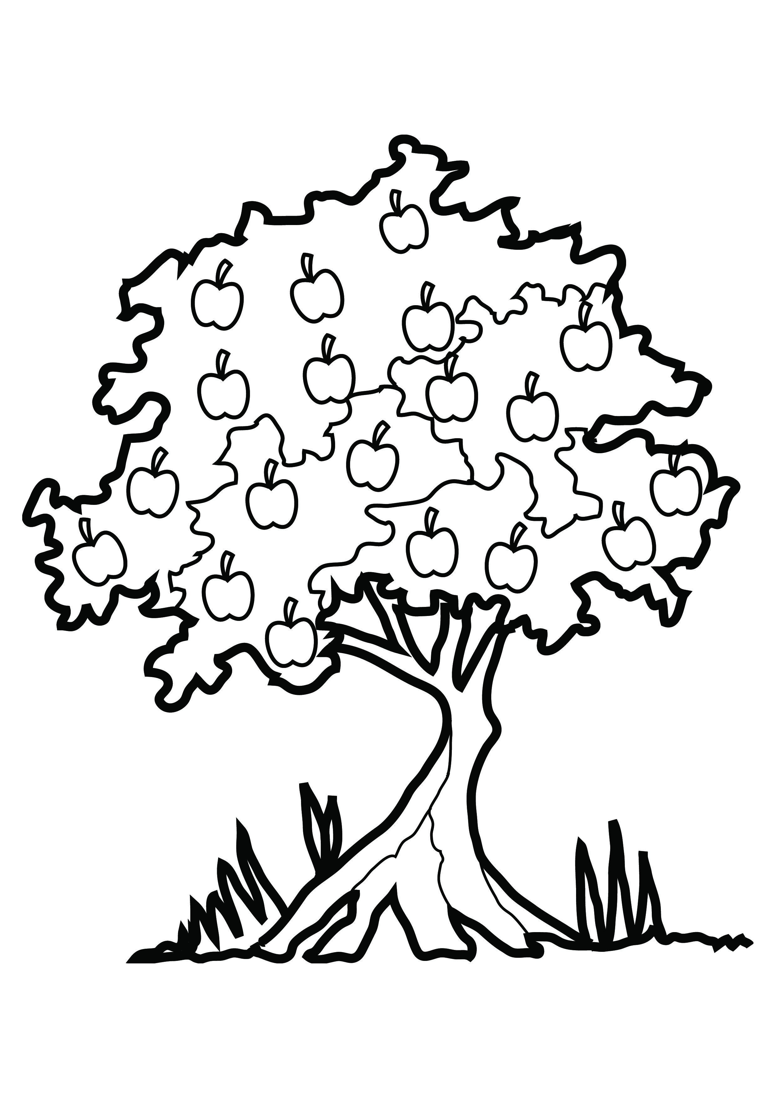 Download Free Printable Tree Coloring Pages For Kids