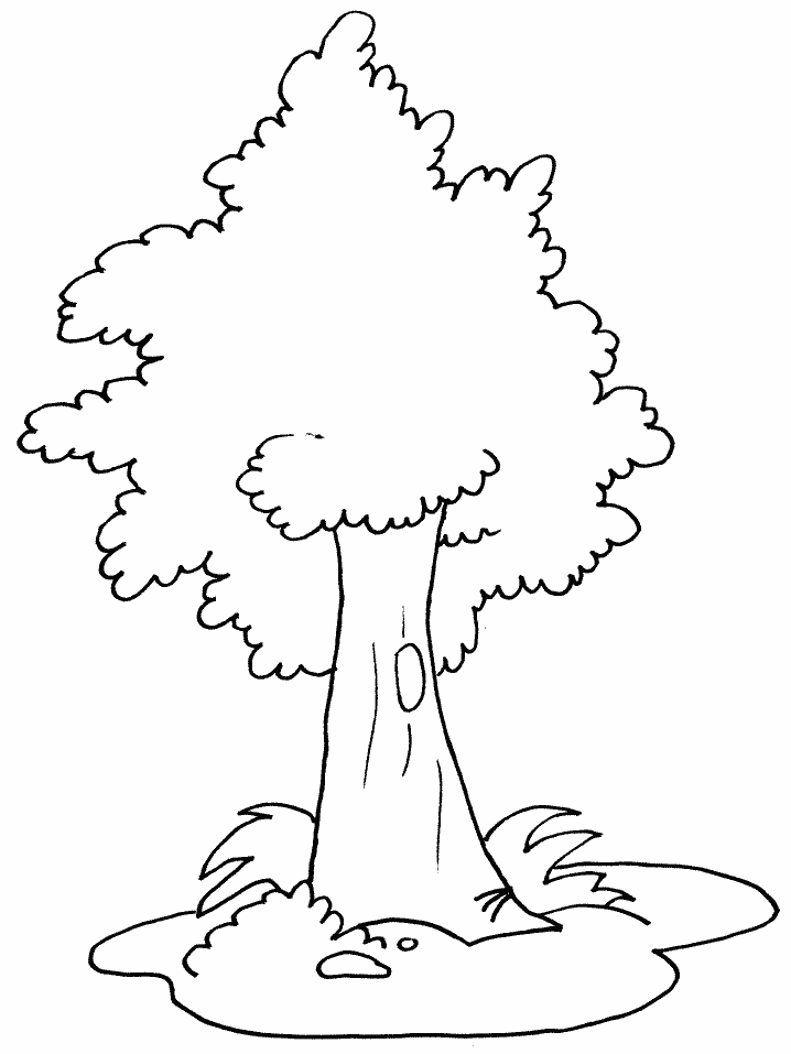 Tree Coloring Pages Effy Moom