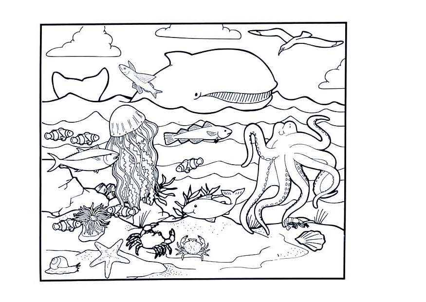 ocean floor coloring page