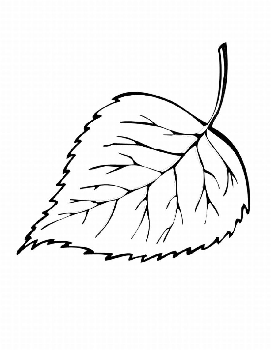 flower leaves coloring pages