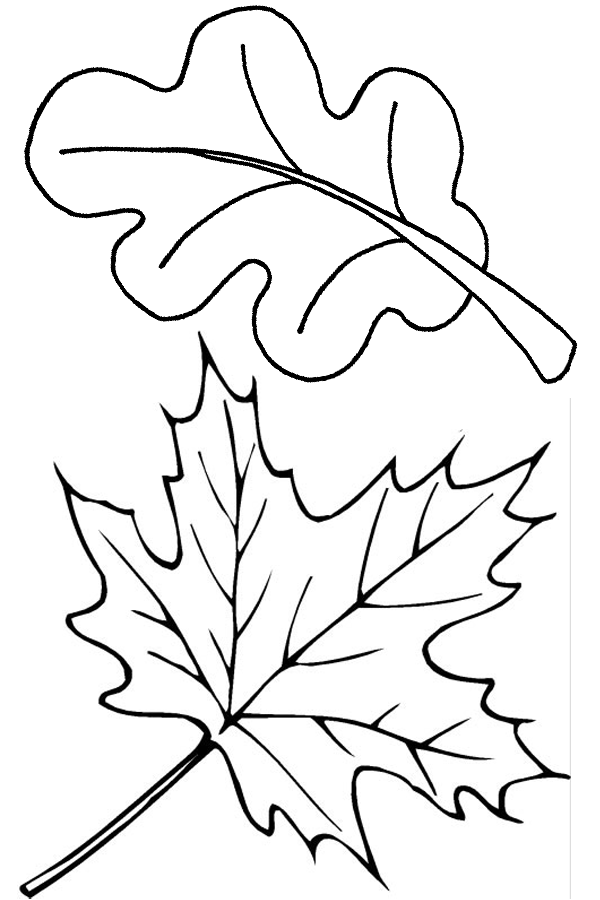 Leaf Coloring Sheet 9