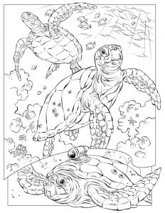 free printable ocean coloring pages for kids