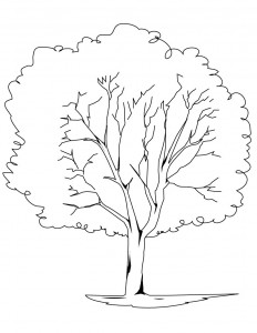 Free Printable Tree Coloring Pages For Kids