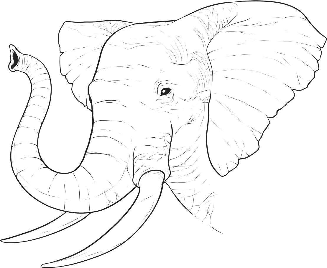 outline of elephant to print
