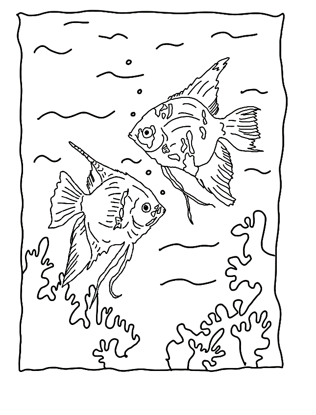 50 Free Fish Coloring Pages for Kids (2023 Printables)