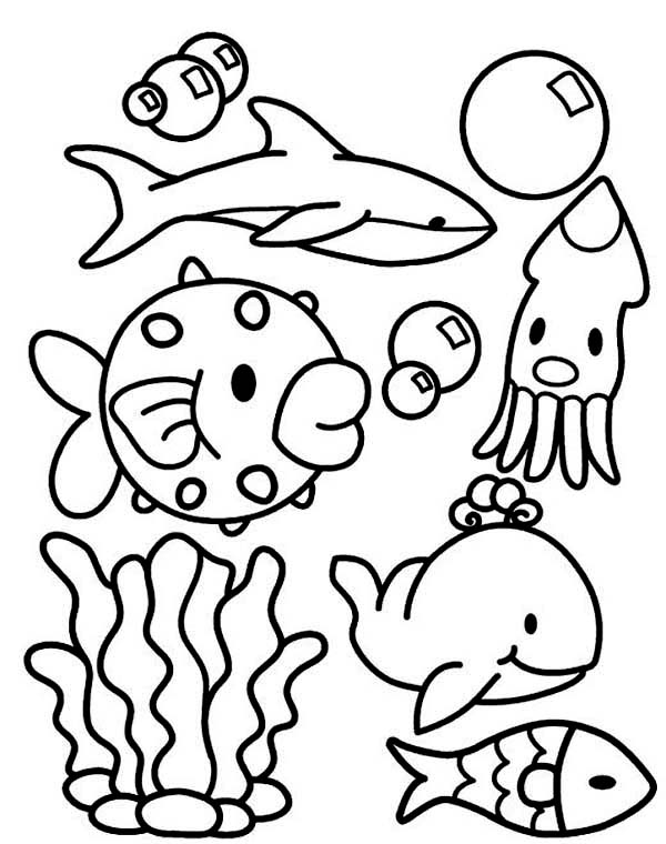 four-coloring-pages-with-different-types-of-sea-animals