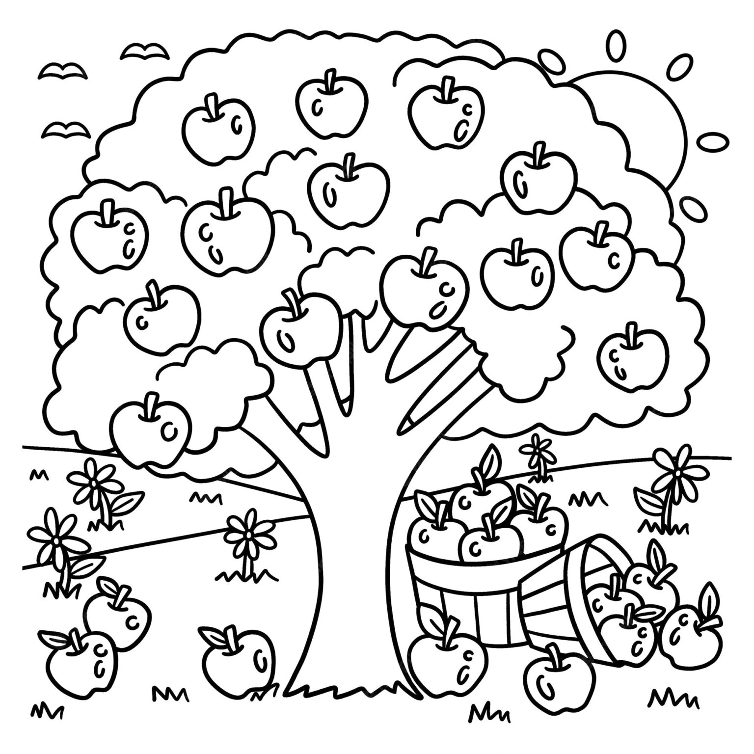 Free Printable Fruit Coloring Pages For Kids