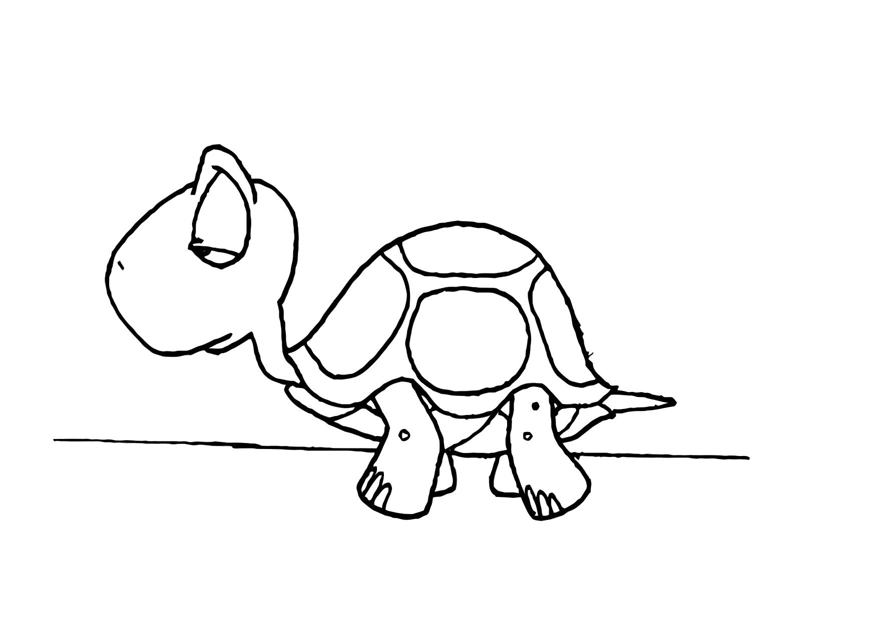 baby turtle drawing outline