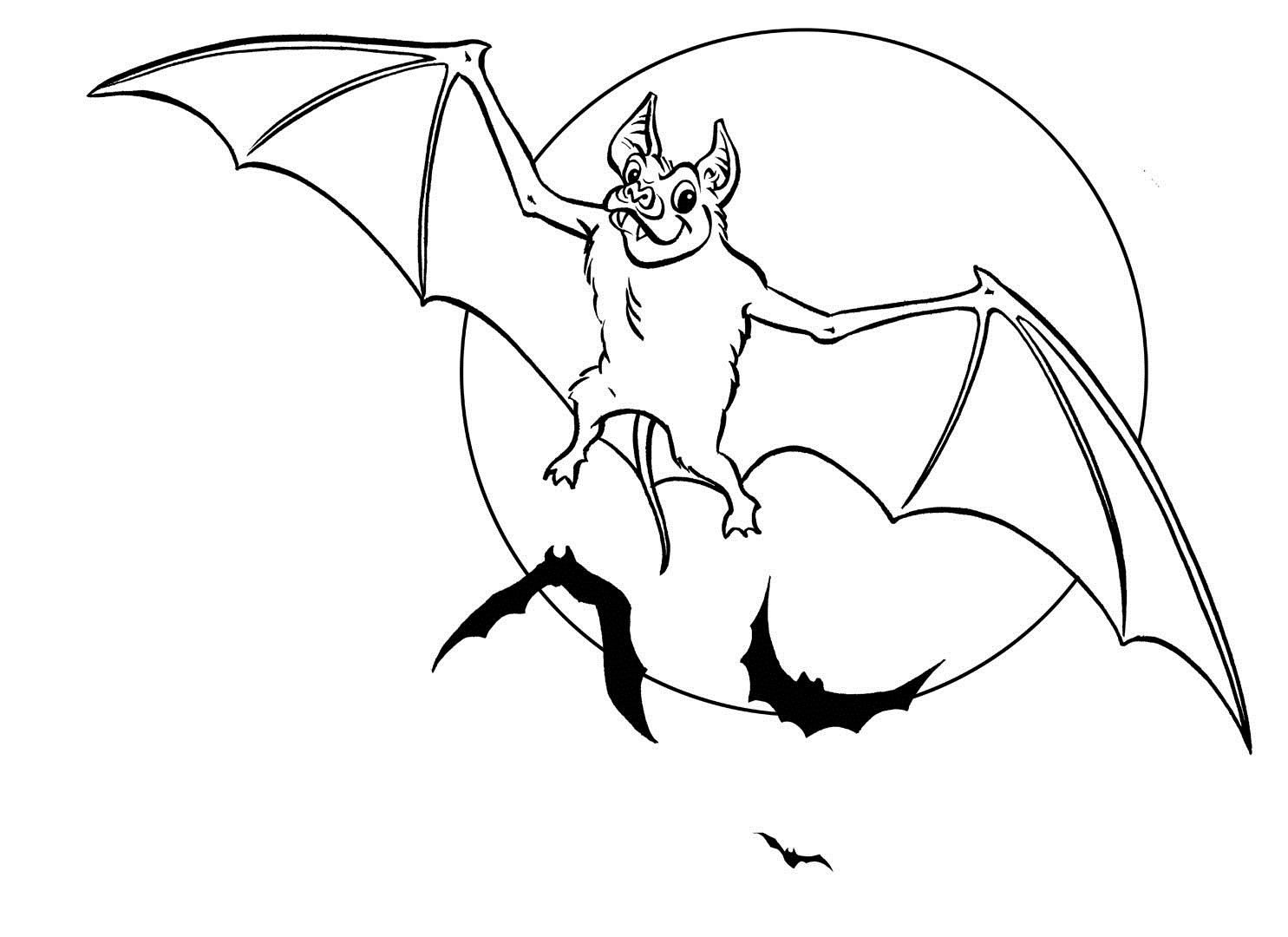 An anatomically detailed bat coloring page