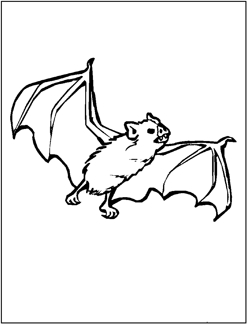 Printable Bat Coloring Pages