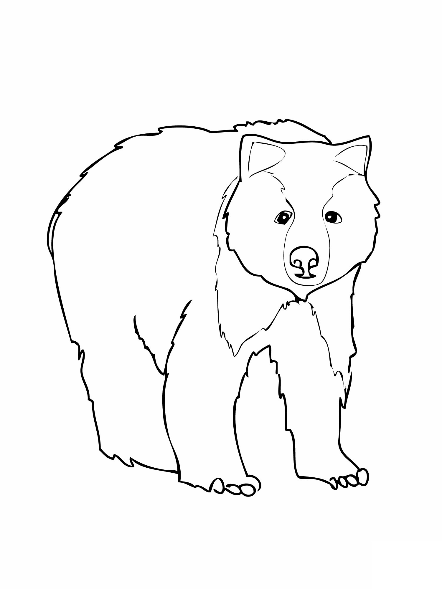 Free Printable Bear Birthday Card To Color