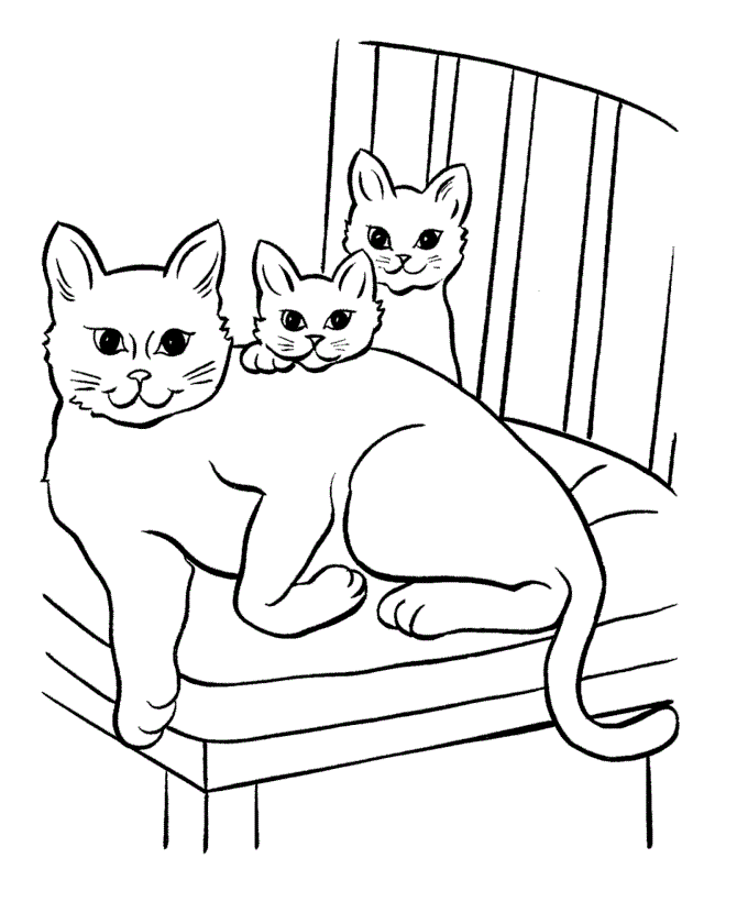 Download Tabby Cat - Free Coloring Pages